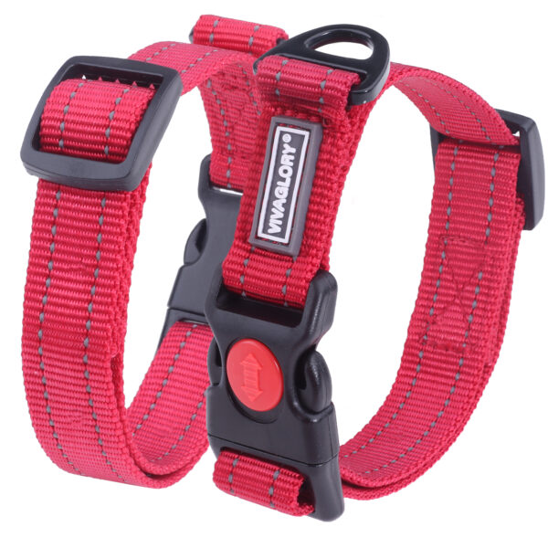 Collier en nylon WEE clip sécurisé