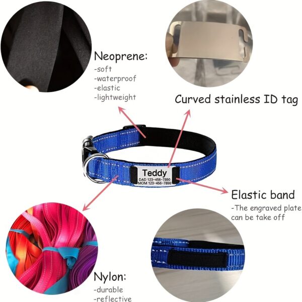Avantage - Collier De Chien Personnalisé et Réfléchissant