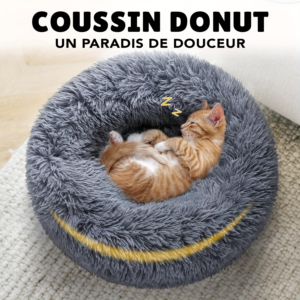 Chat confortablement installé sur un coussin donut douillet