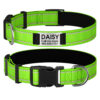 Collier De Chien Personnalisé et Réfléchissant vert fluo avant et arrière.