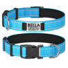 Collier De Chien Personnalisé et Réfléchissant bleu avant et arrière.