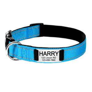 Collier De Chien Personnalisé et Réfléchissant bleu