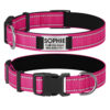 Collier De Chien Personnalisé et Réfléchissant fuchsia