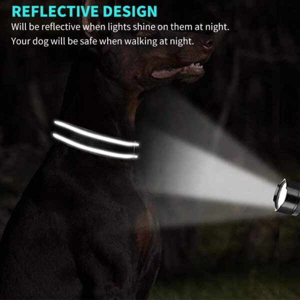 Collier De Chien Personnalisé et Réfléchissant la nuit