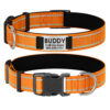 Collier De Chien Personnalisé et Réfléchissant orange avant et arrière.