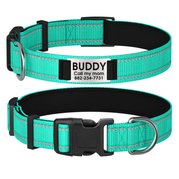 Collier De Chien Personnalisé et Réfléchissant vert avant et arrière.