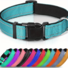 Collier reflechissant en nylon rembourre respirant bleu