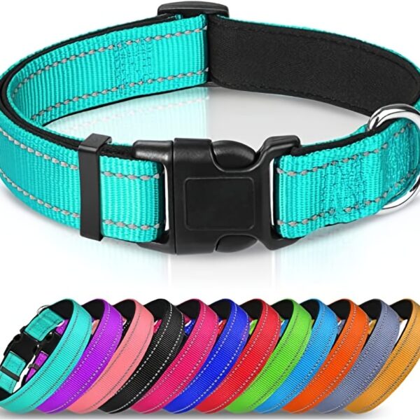 Collier réfléchissant