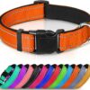 Collier réfléchissant en nylon rembourré respirant
