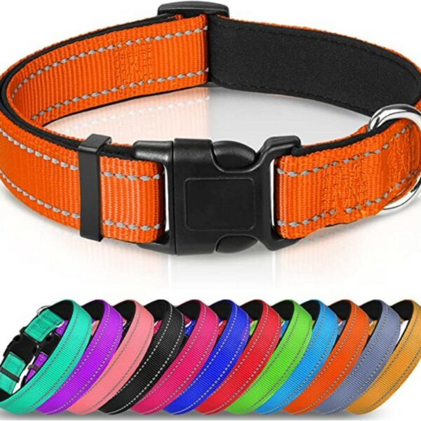Collier réfléchissant en nylon rembourré respirant