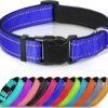 Collier réfléchissant en nylon rembourré respirant