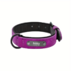 Collier Pour Chien En Cuir Personnalisé fuchsia