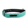 Collier Pour Chien En Cuir Personnalisé vert