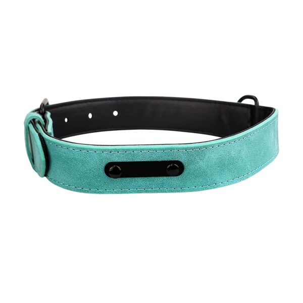 Collier Pour Chien En Cuir Personnalisé vert