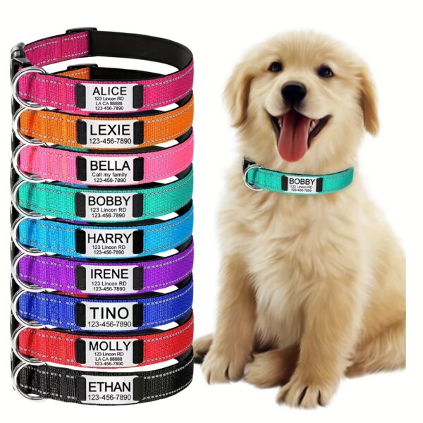Coloris disponible - Collier De Chien Personnalisé, Collier Réfléchissant avec Plaque Signalétique Gravée.