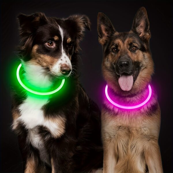Collier Lumineux à LED Rechargeable USB - Une visibilité accrue pour votre compagnon canin.