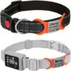 Deux Colliers avec Étiquettes de Chien Personnalisées - Personnalisation facile pour la sécurité de votre compagnon à quatre pattes.