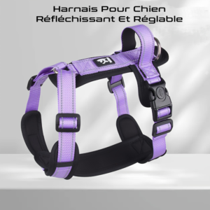 Harnais pour Chien Réfléchissant et Réglable - Visibilité et confort pour vos aventures ensemble.