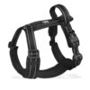 Harnais de couleur noir pour Chien Réfléchissant et Réglable - Visibilité et confort pour vos aventures ensemble.