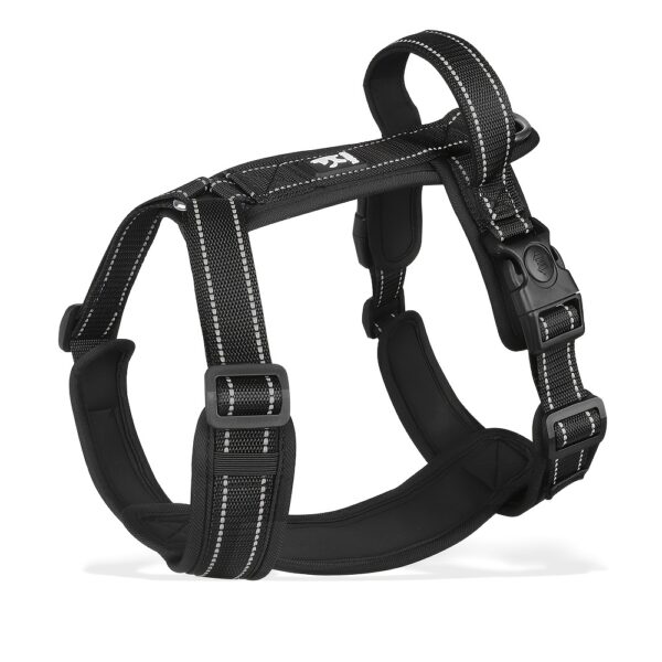 Harnais de couleur noir pour Chien Réfléchissant et Réglable - Visibilité et confort pour vos aventures ensemble.