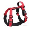 Harnais de couleur rouge pour Chien Réfléchissant et Réglable - Visibilité et confort pour vos aventures ensemble.