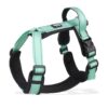 Harnais de couleur verte pour Chien Réfléchissant et Réglable - Visibilité et confort pour vos aventures ensemble.