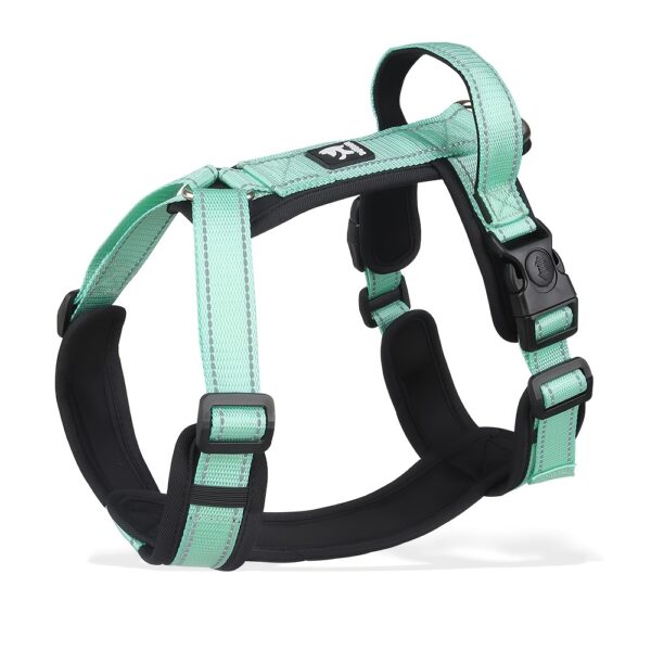 Harnais de couleur verte pour Chien Réfléchissant et Réglable - Visibilité et confort pour vos aventures ensemble.