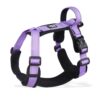 Harnais de couleur violette pour Chien Réfléchissant et Réglable - Visibilité et confort pour vos aventures ensemble.