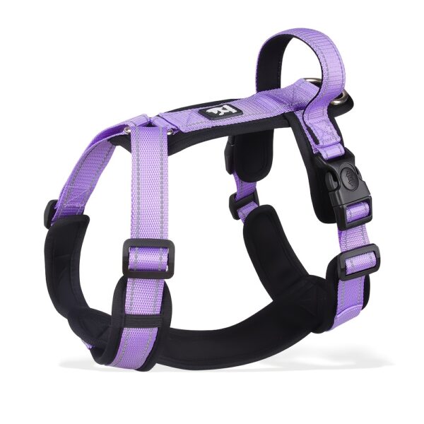 Harnais de couleur violette pour Chien Réfléchissant et Réglable - Visibilité et confort pour vos aventures ensemble.