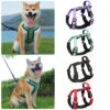Quatre couleurs de Harnais Pour Chien Réfléchissant et Réglable - Choisissez le style de votre compagnon à quatre pattes.