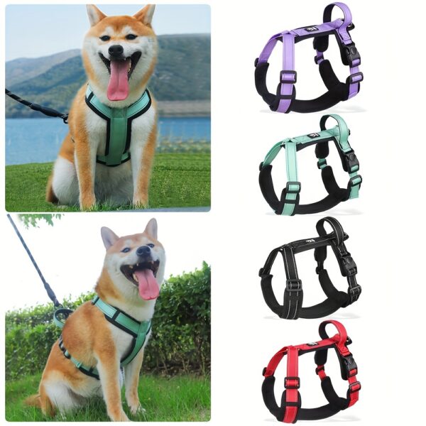Quatre couleurs de Harnais Pour Chien Réfléchissant et Réglable - Choisissez le style de votre compagnon à quatre pattes.