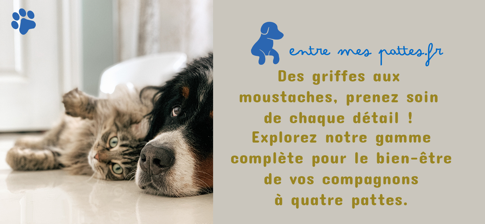Accessoires pour Chiens et Chats - Entre Mes Pattes 14 PANORAMA CHIEN ET CHAT 4