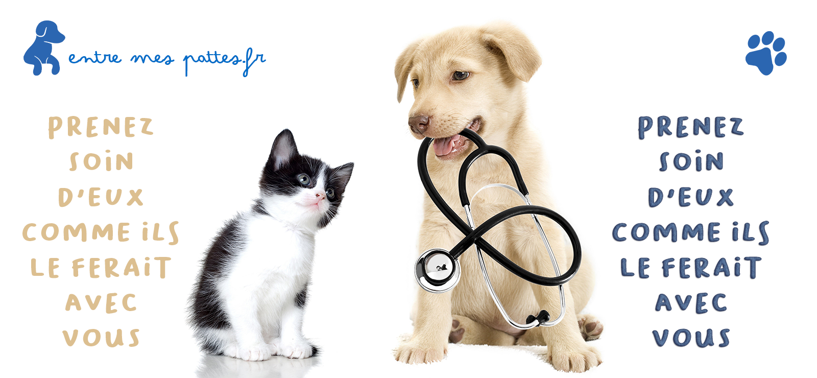 Accessoires pour Chiens et Chats - Entre Mes Pattes 13 PANORAMA CHIEN ET CHAT 5