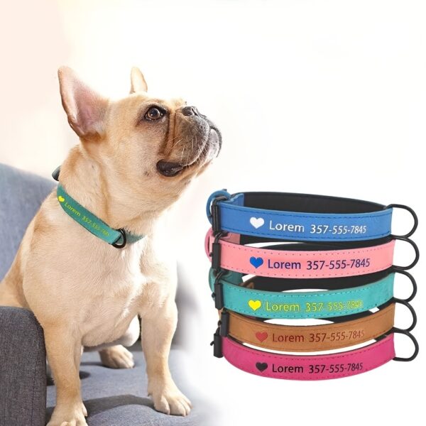 chien avec collier De Chien en cuir Personnalisée - cinq couleurs