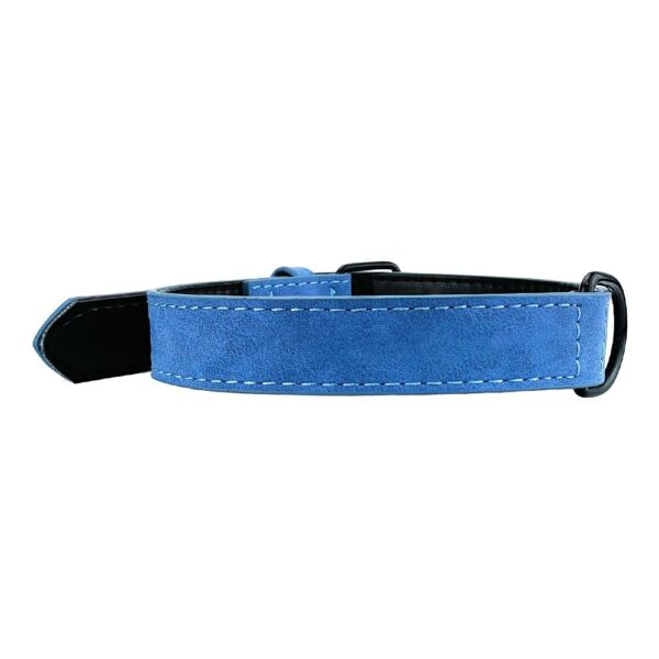 collier De Chien en cuir Personnalisée bleu