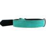 collier De Chien en cuir Personnalisée bleu-vert