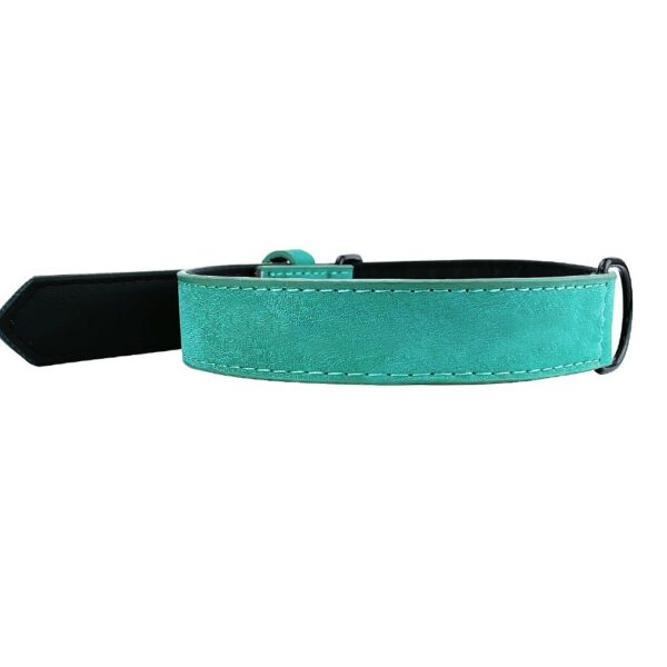 collier De Chien en cuir Personnalisée bleu-vert