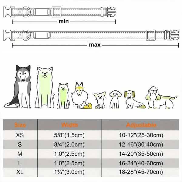 guide des tailles - Collier De Chien Personnalisé et Réfléchissant