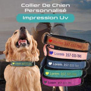 collier De Chien en cuir souple et Personnalisée en gravure UV