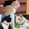 CHAT AVEC Etiquette Personnalisee
